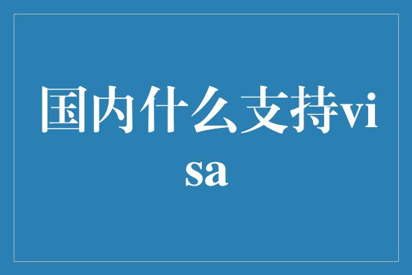 国内什么支持visa