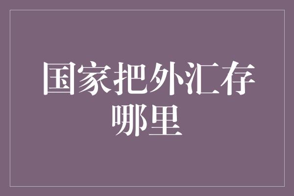 国家把外汇存哪里