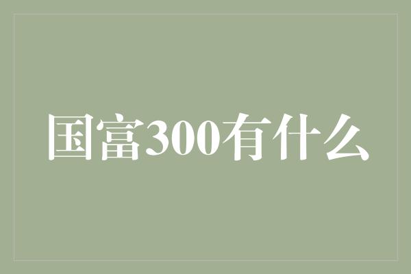 国富300有什么