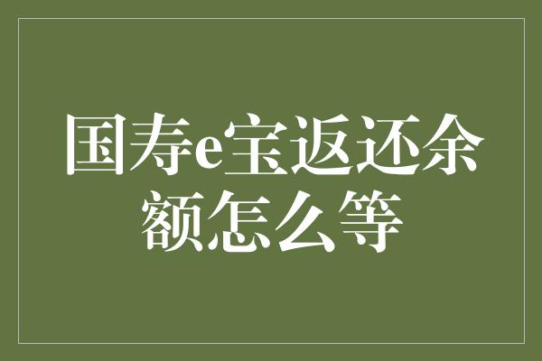 国寿e宝返还余额怎么等