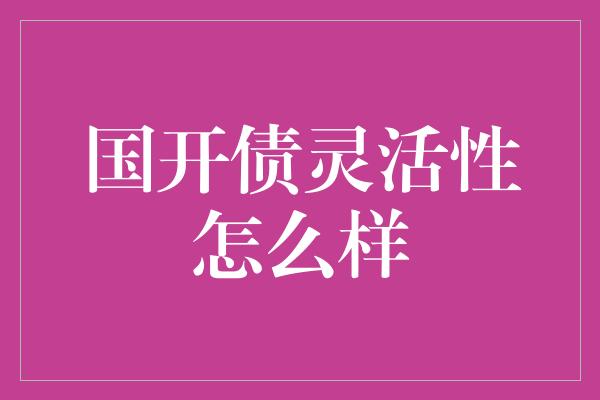 国开债灵活性怎么样