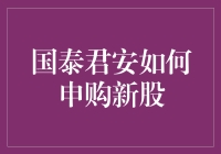 国泰君安如何申购新股：策略与步骤详解