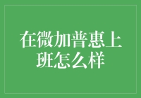 微加普惠：创新金融领域的实力派企业