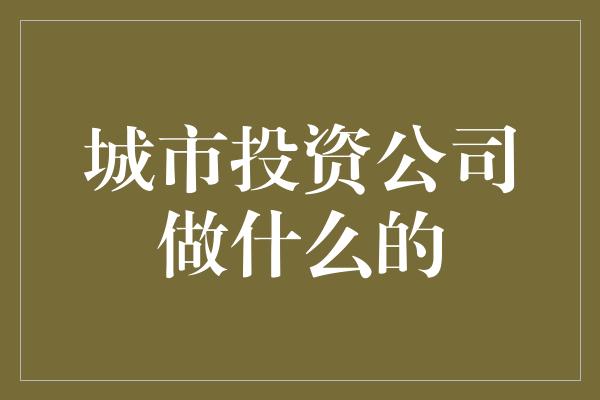 城市投资公司做什么的