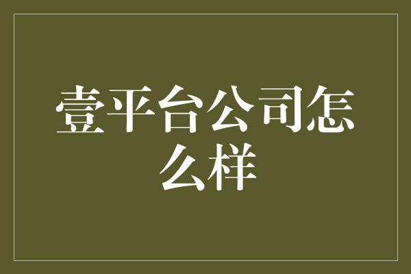 壹平台公司怎么样