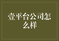 到底应该怎样看待壹平台公司？