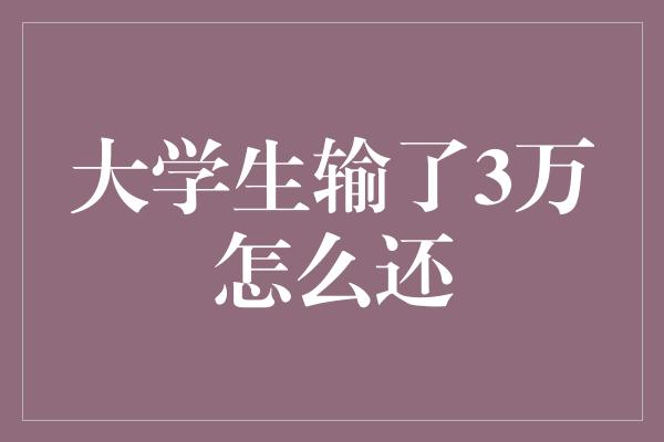 大学生输了3万怎么还