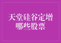 天堂硅谷定增：引领未来投资趋势的股票精选