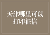 天津哪里可以打印征信？我带您去征信大冒险