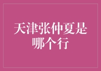 天津张仲夏：一位守门员的奇幻职业生涯