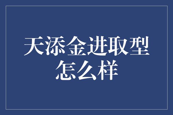 天添金进取型怎么样