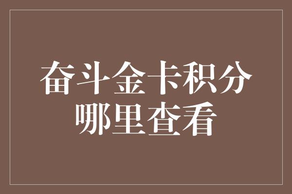 奋斗金卡积分哪里查看