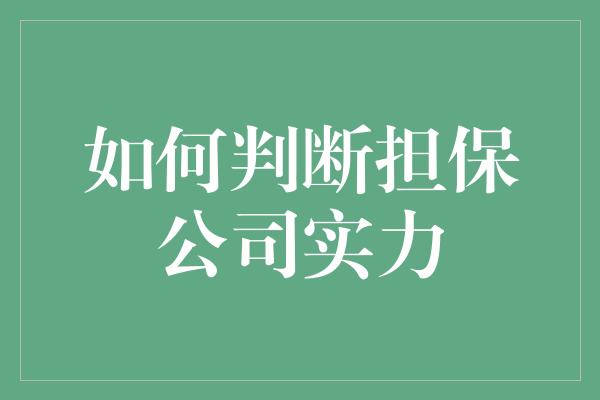 如何判断担保公司实力