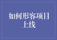 项目上线：从孕育到绽放的华丽蜕变