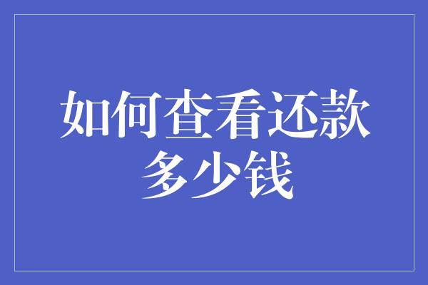 如何查看还款多少钱