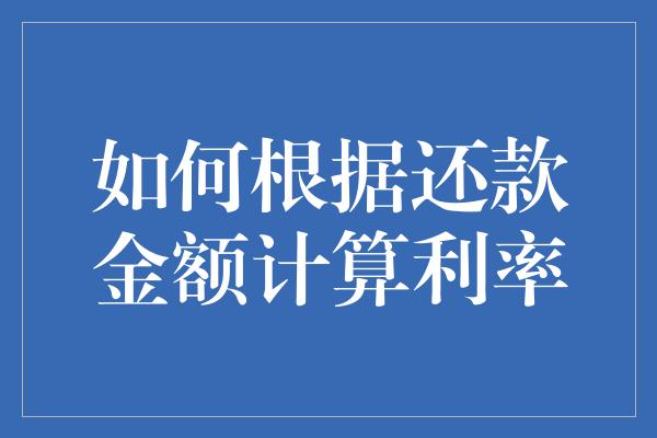 如何根据还款金额计算利率