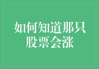 如何理性判断那只股票会涨：深度解析股票投资的逻辑与策略