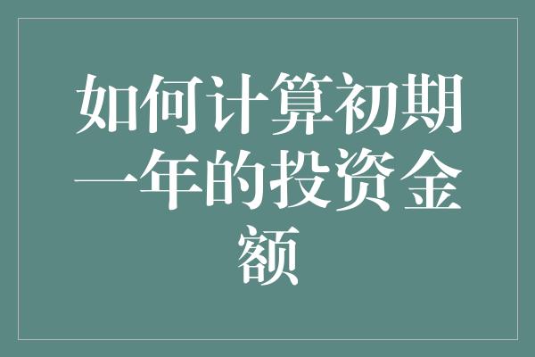 如何计算初期一年的投资金额