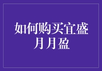 如何购买宜盛月月盈：一堂理财入门课