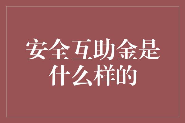 安全互助金是什么样的