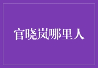 官晓岚：一位深具影响力的当代艺术家