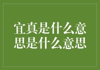 宜真还是宜假：一场真假难辨的辩论会