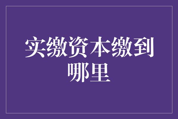 实缴资本缴到哪里