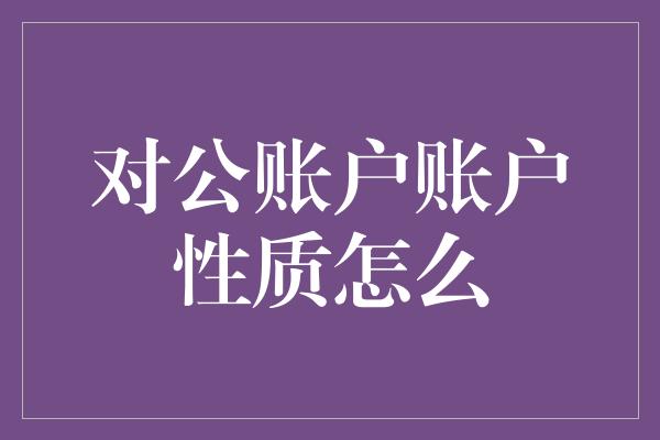 对公账户账户性质怎么