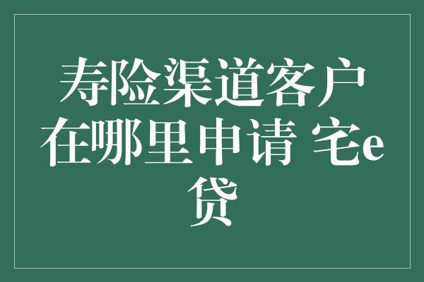 寿险渠道客户在哪里申请 宅e贷