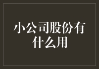 小公司股份：不仅是一种投资，更是企业成长的重要驱动力