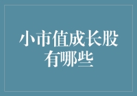 小市值成长股：投资界的小鲜肉们