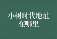 深入小树时代：探索其核心地址的秘密