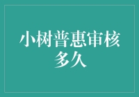 小树普惠的审核速度快吗？