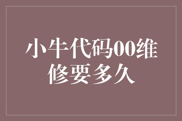 小牛代码00维修要多久