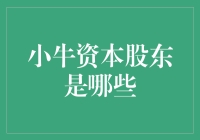 小牛资本股东结构分析：多元化的投资与治理