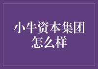 小牛资本集团怎么样？投资新手必看！