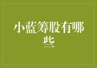 小蓝筹股探索：那些鲜为人知的市场瑰宝