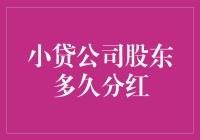 小贷公司股东分红周期探究：制度优化与实践策略