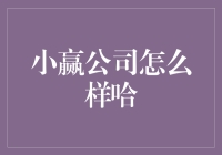 小赢公司的行业地位与服务创新：构建金融新生态