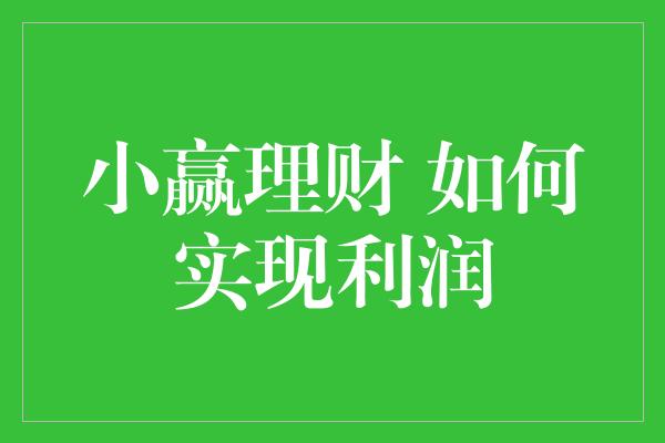 小赢理财 如何实现利润