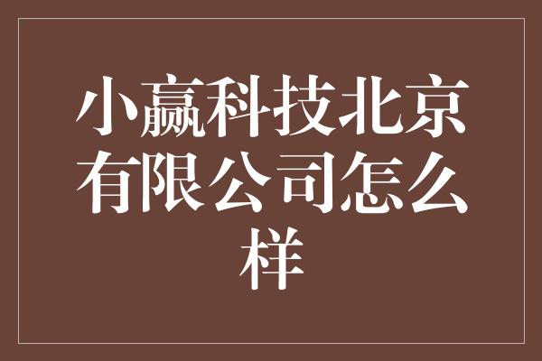 小赢科技北京有限公司怎么样