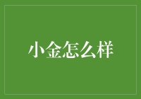 小金的旅程：从不起眼的角落到闪耀的舞台