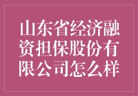 山东省经济融资担保股份有限公司：比相亲更心动的业务介绍