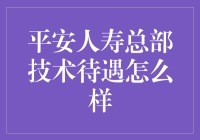 平安人寿总部技术岗位待遇解析：挖掘职场晋升与福利的奥秘