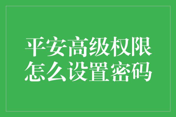 平安高级权限怎么设置密码