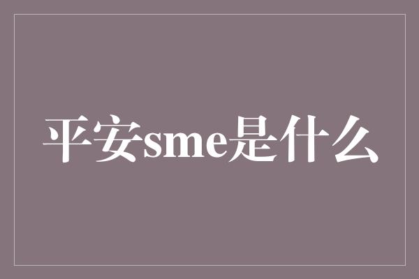 平安sme是什么