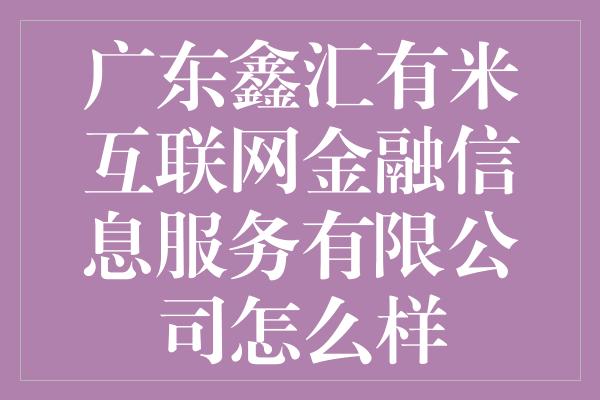 广东鑫汇有米互联网金融信息服务有限公司怎么样