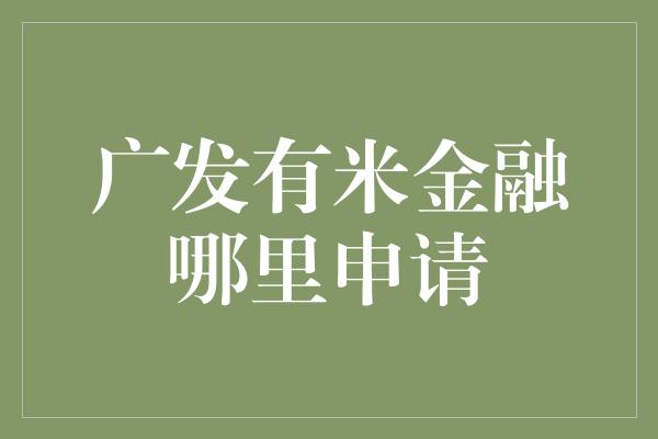 广发有米金融哪里申请