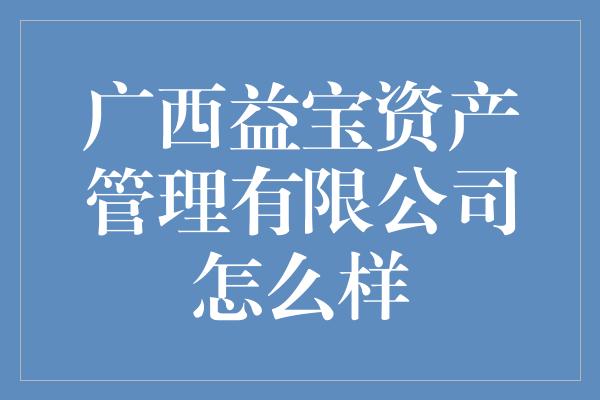 广西益宝资产管理有限公司怎么样