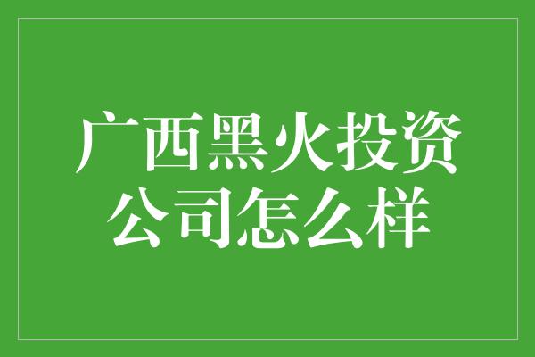 广西黑火投资公司怎么样